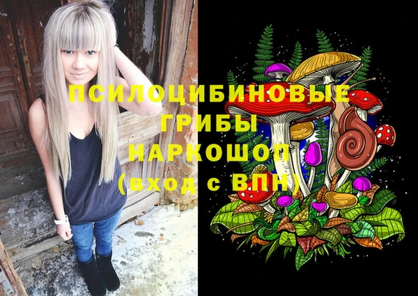 mdpv Шали