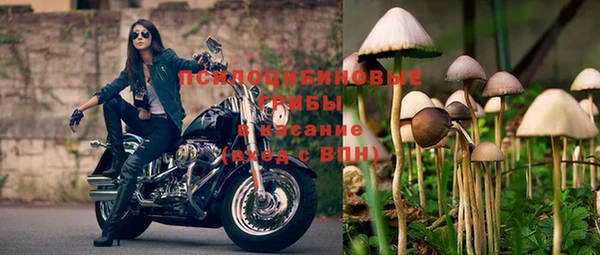 mdpv Шали