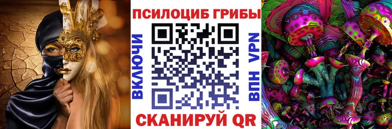 Купить закладки  Усмань  Псилоцибиновые грибы MAGIC MUSHROOMS 